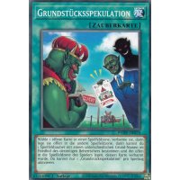 Grundstücksspekulation PHHY-DE070