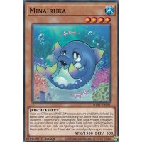 Minairuka PHHY-DE081