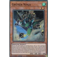 Grüner Ninja PHHY-DE098