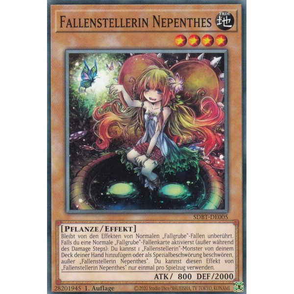 Fallenstellerin Nepenthes SDBT-DE005