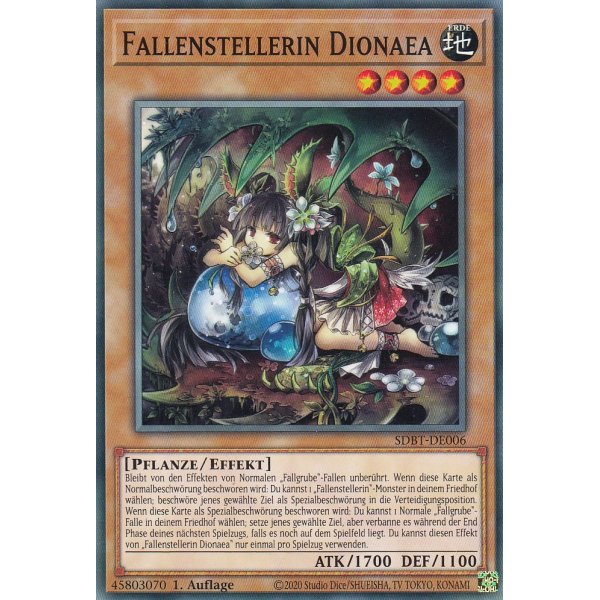 Fallenstellerin Dionaea SDBT-DE006