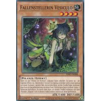 Fallenstellerin Vesiculo SDBT-DE008