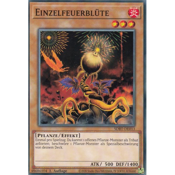 Einzelfeuerbl&uuml;te SDBT-DE013