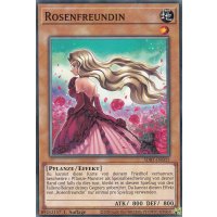 Rosenfreundin SDBT-DE015