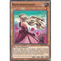 Rosenfreundin SDBT-DE015