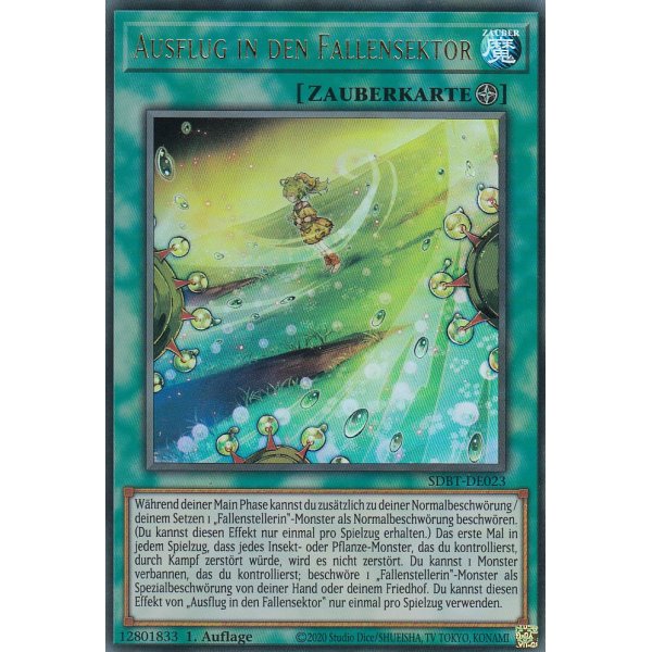 Ausflug in den Fallensektor SDBT-DE023