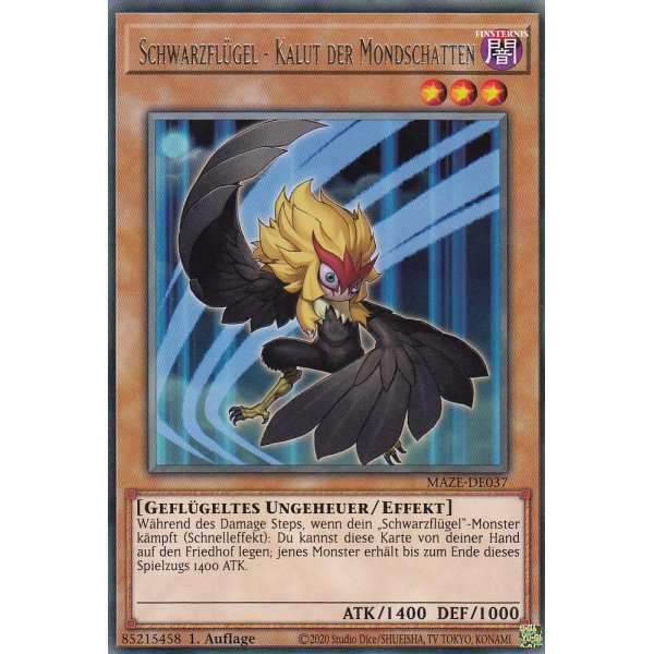 Schwarzfl&uuml;gel &ndash; Kalut der Mondschatten MAZE-DE037