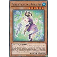 Pfingstrose die Rikka-Fee MAZE-DE048