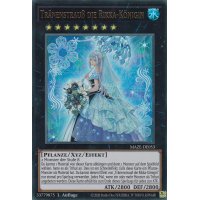 Tränenstrauß die Rikka-Königin MAZE-DE053