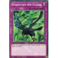 Windsturm von Etaqua SGX3-DEA20