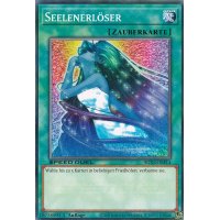 Seelenerl&ouml;ser SGX3-DEF14