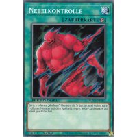 Nebelkontrolle SGX3-DEH17