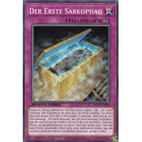 Der Erste Sarkophag SGX3-DEI06