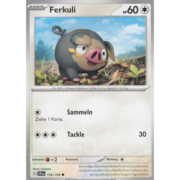 Ferkuli 155/198