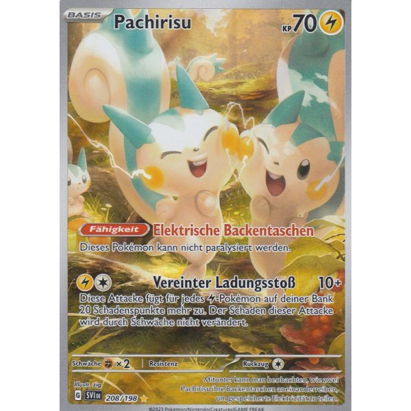 Pachirisu 208/198 Illustration Rare