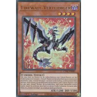 Firewall-Verteidiger CYAC-DE001