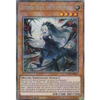 Leitende Quem, die Tugendhafte (Starlight Rare) CYAC-DE011-Starlight-Rare
