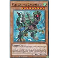 Voll aktiver Zweiköpfer CYAC-DE025