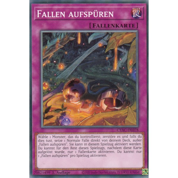 Fallen aufsp&uuml;ren CYAC-DE078