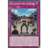 Wie kommt Dai hierher? CYAC-DE085