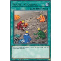 Fossile Grabung WISU-DE055
