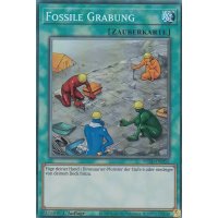 Fossile Grabung (Collector Rare) WISU-DE055-Collector-Rare