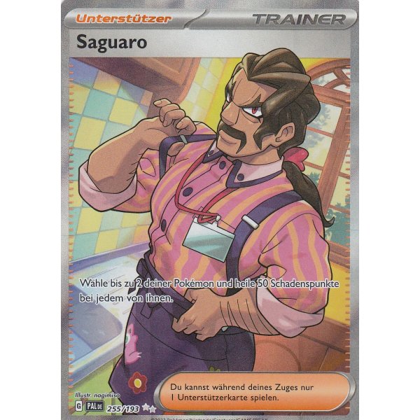 Saguaro 255/193 Fullart