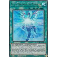 Letzte Hoffnung der Nummern BLMR-DE004