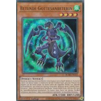 Betende Gottesanbeterin BLMR-DE033