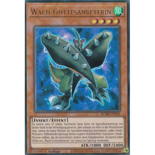 Wach-Gottesanbeterin BLMR-DE034