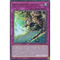 Donnerentladung BLMR-DE101