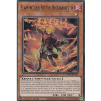 Flammedler Ritter Ricciardetto DUNE-DE013