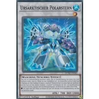 Ursarktischer Polarstern DUNE-DE041