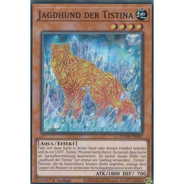 Jagdhund der Tistina DUNE-DE087