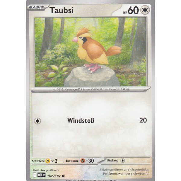 Taubsi 162/197