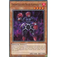 Unermüdlicher Boxer Kopfschutz LD10-DE039