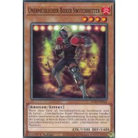 Unerm&uuml;dlicher Boxer Switchhitter LD10-DE041