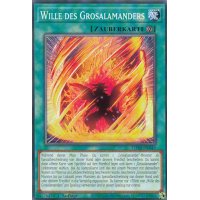 Wille des Grosalamanders LD10-DE049