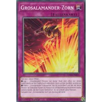 Grosalamander-Zorn LD10-DE050