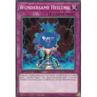Wundersame Heilung SBC1-DEA17