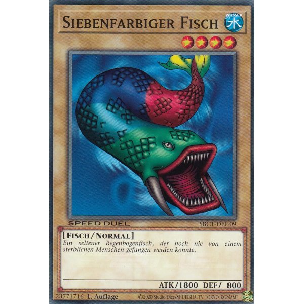 Siebenfarbiger Fisch SBC1-DEC09