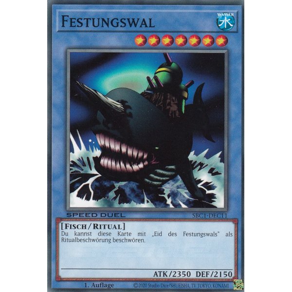 Festungswal SBC1-DEC11