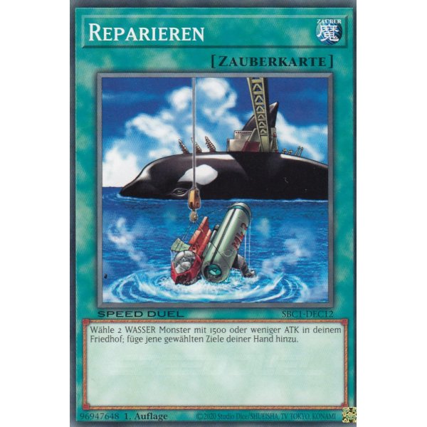 Reparieren SBC1-DEC12