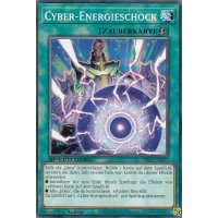 Cyber-Energieschock SBC1-DEE11