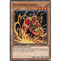 Geladener Kong SBC1-DEF03