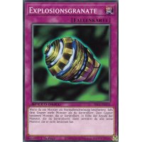 Explosionsgranate SBC1-DEF16