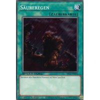 S&auml;ureregen SBC1-DEI14