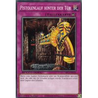 Pistolenlauf hinter der T&uuml;r SBC1-DEI20