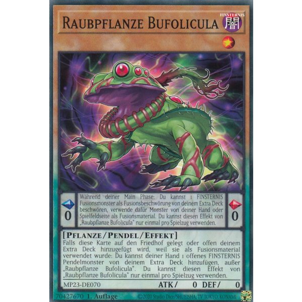 Raubpflanze Bufolicula MP23-DE070