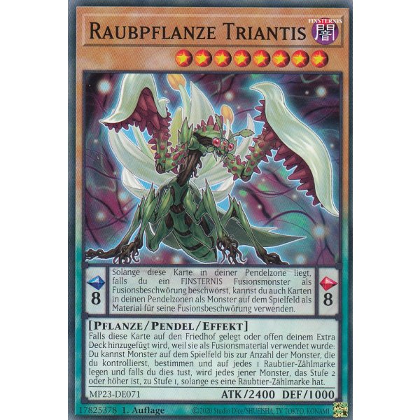 Raubpflanze Triantis MP23-DE071